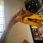 Descubren nueva especie de dinosaurio de hace más de 72 millones de años en México