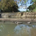 Los canales de riego requieren reparación y mantenimiento