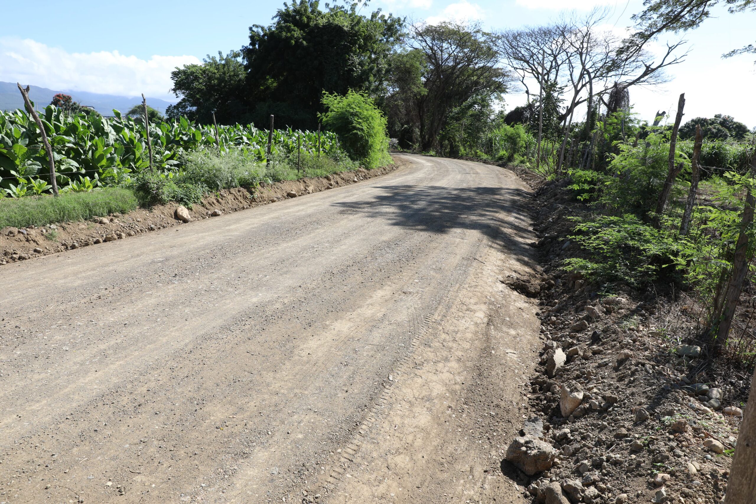 Caminos interparcelarios rehabilitados