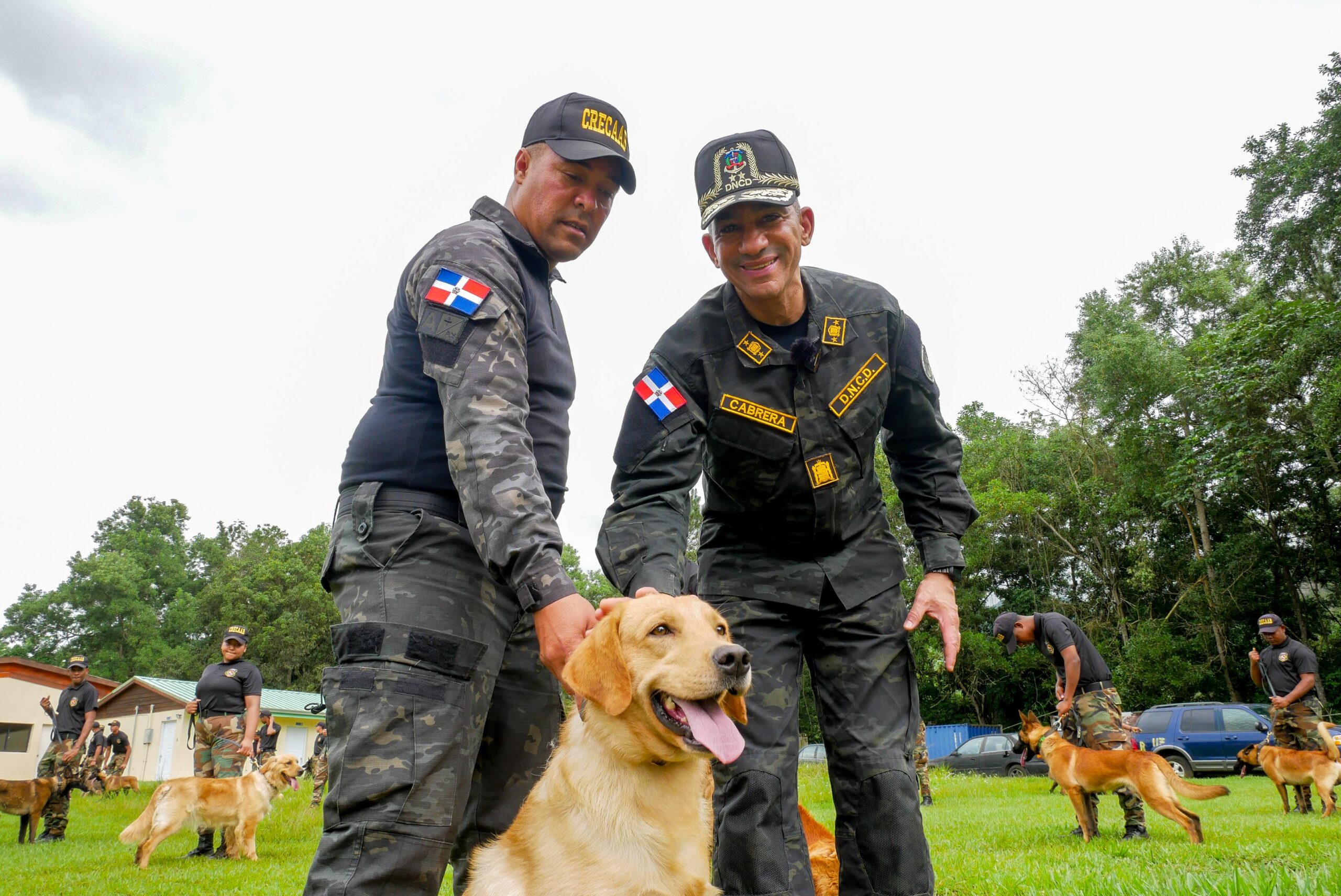 Familia canina de la DNCD recibe 55 nuevos perros para colaborar en las operaciones