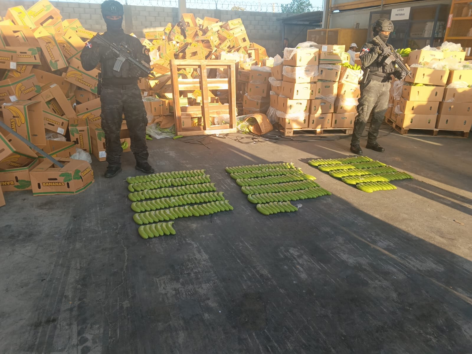 Autoridades incautan presunta cocaína camuflada con guineos en Puerto de Manzanillo