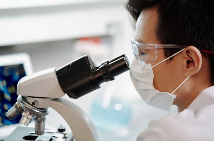 Crean bacterias modificadas para combatir tumores con luz infrarroja