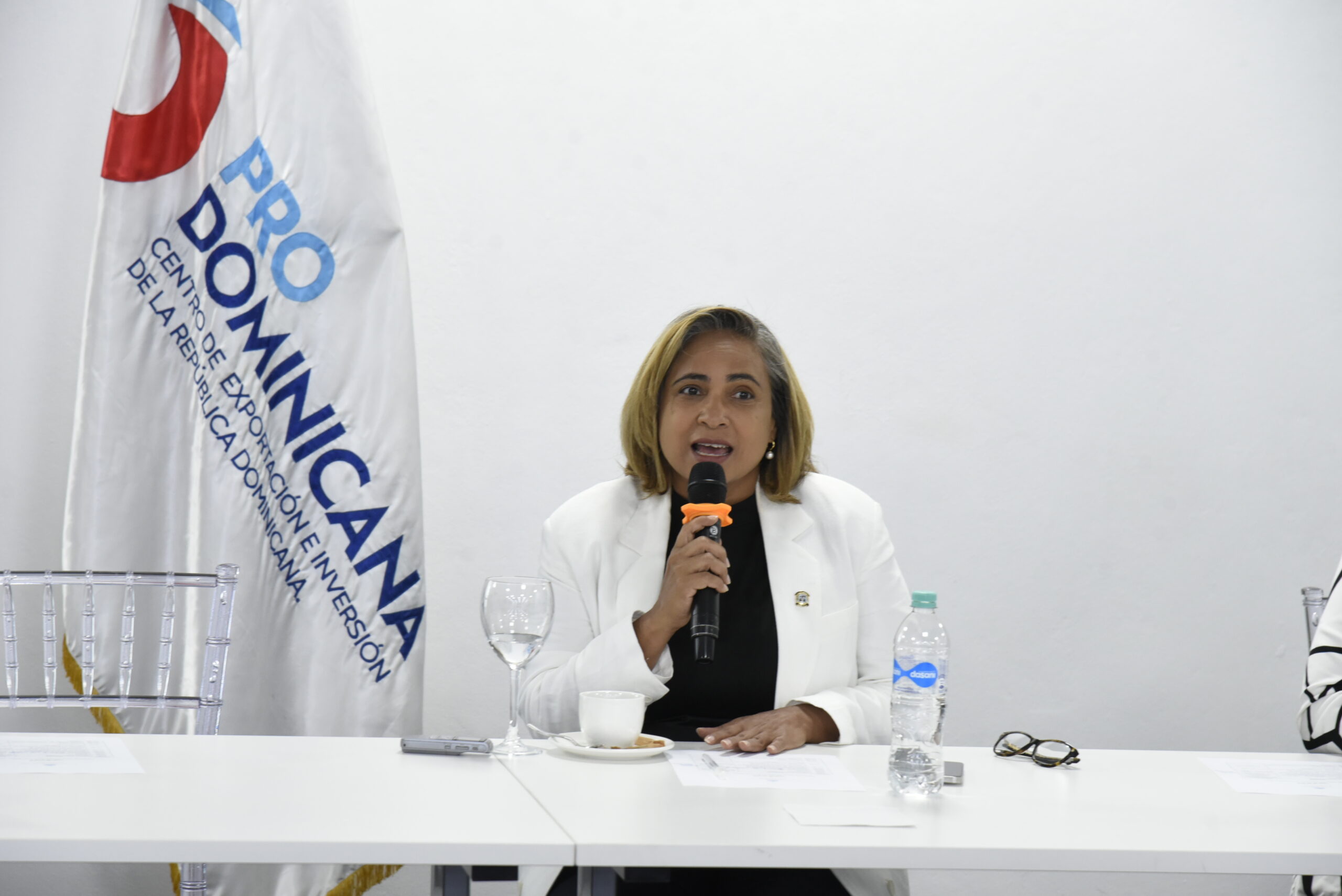Diputada Dorina Rodríguez