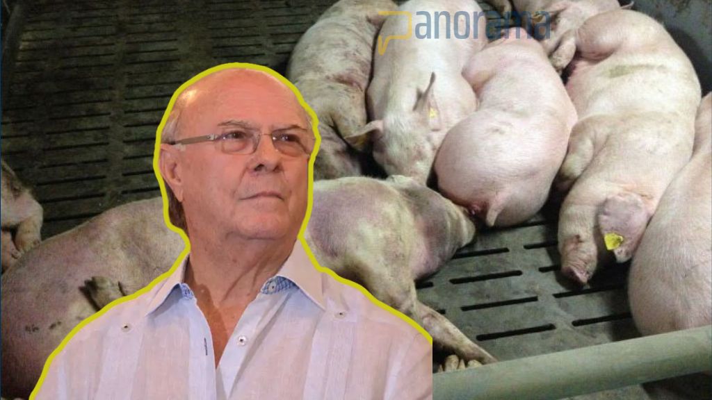 Hipólito Mejía culpa a los productores de permitir propagación de “fiebre porcina”