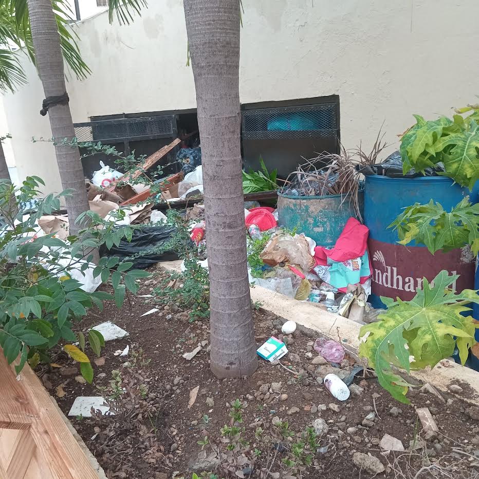 Junta de Vecinos del Residencial Correa y Cidrón denuncia ADN se niega a recoger la basura