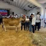 Con 24 años de experiencia en la producción lechera, la finca fue reconocida por su línea genética de alto rendimiento y la calidad de sus ejemplares
