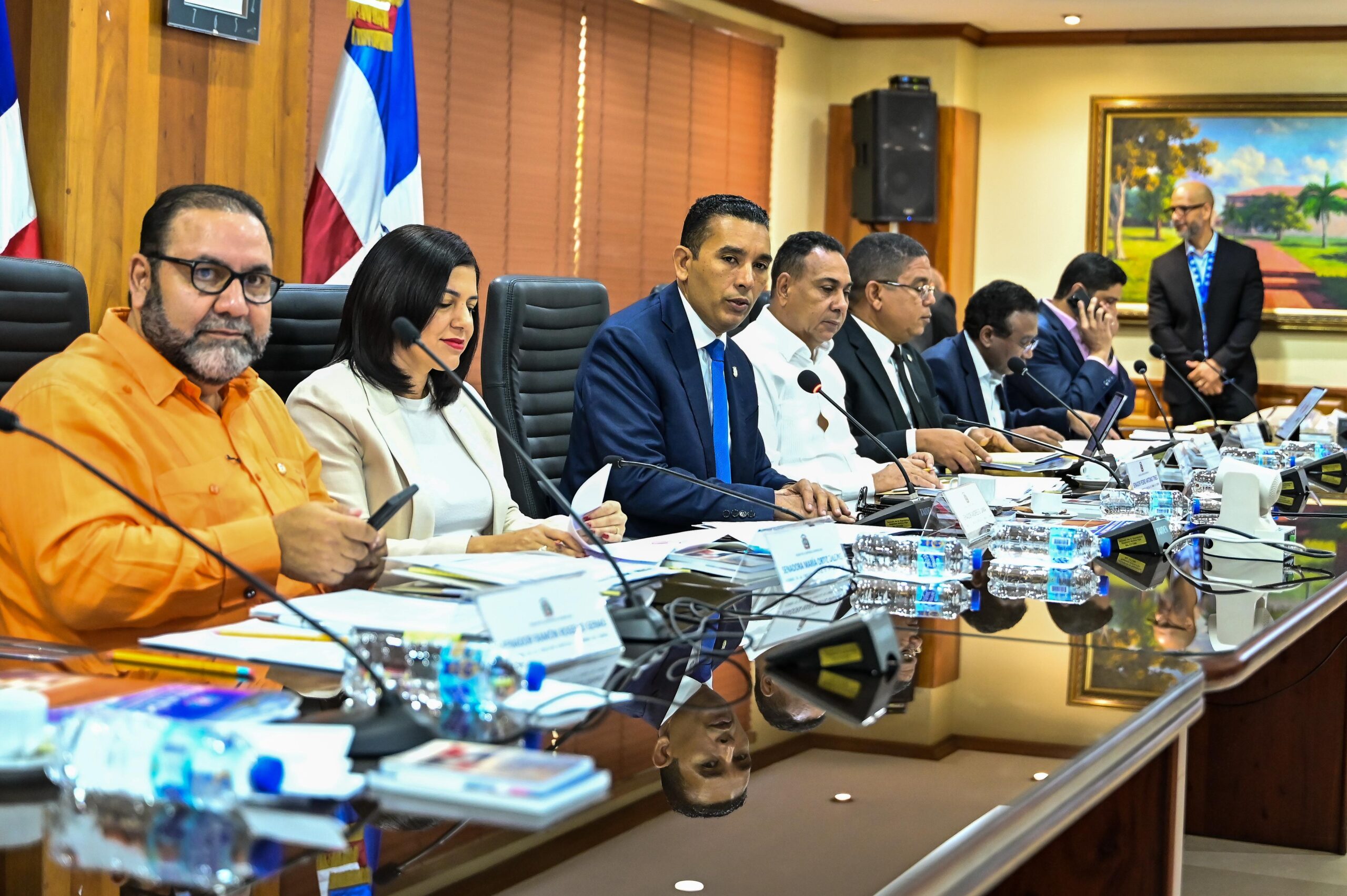 La Comisión Especial del Senado