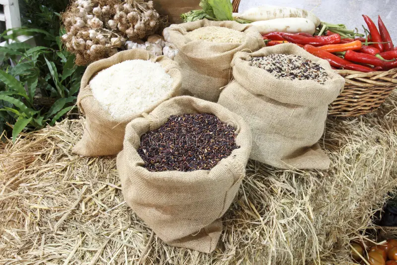 Alimentos básicos de la canasta familiar son los que más elevaron su precio en febrero 2025