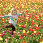 Hoy inicia la primavera con buenas temperaturas acorde a la estación