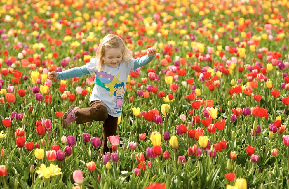 Hoy inicia la primavera con buenas temperaturas acorde a la estación
