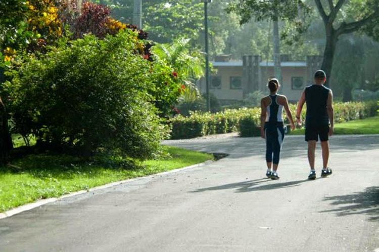 Buen tiempo para actividades al aire libre