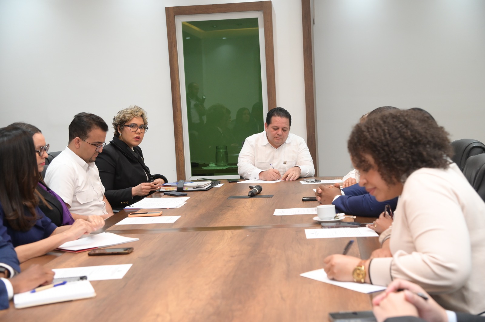 Comisión Especial de la Cámara de Diputados que estudios del proyecto de ley de Contrataciones Públicas