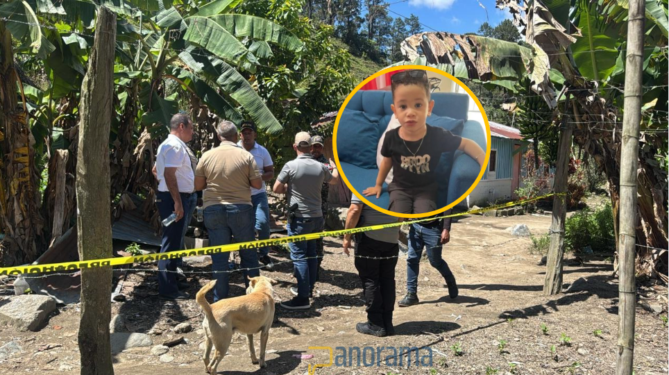 Caso Roldany: las autoridades utilizan una clarividente como herramienta de búsqueda