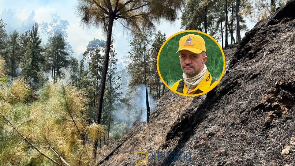 El fuego se prujo en la sección Los Tramojos del distrito municipal El Pinar, provincia San José de Ocoa.