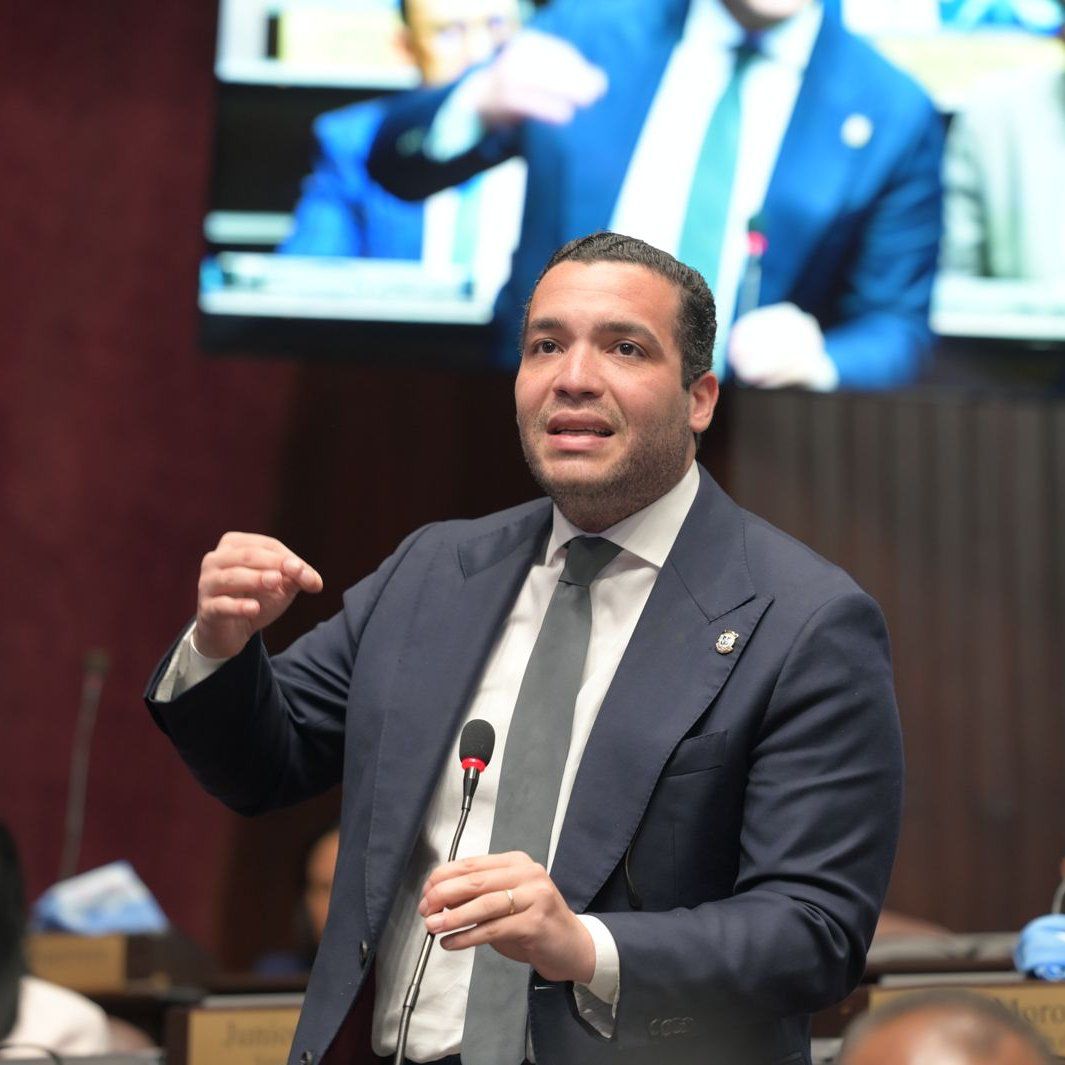 El diputado del Partido de la Liberación Dominicana (PLD), Charlie Mariotti, rechazó la aprobación de un préstamo de US$75 millones para destinarlos al sector eléctrico.