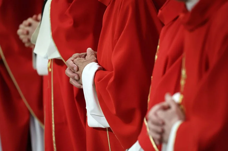 Varios cardenales abogan por continuar el legado del Francisco: «Hagamos fuerza para eso»