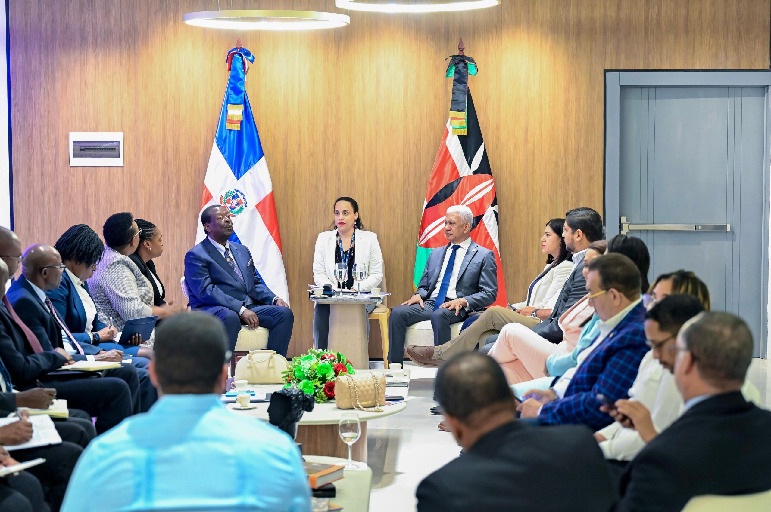El presidente del Senado Ricardo de los Santos externó ante el una delegación de Kenia su preocupación por la situación de violencia y caos que abate a Haití, cuyos efectos son sentidos en la República Dominicana por la gran cantidad de inmigrantes que llegan huyendo del caos.