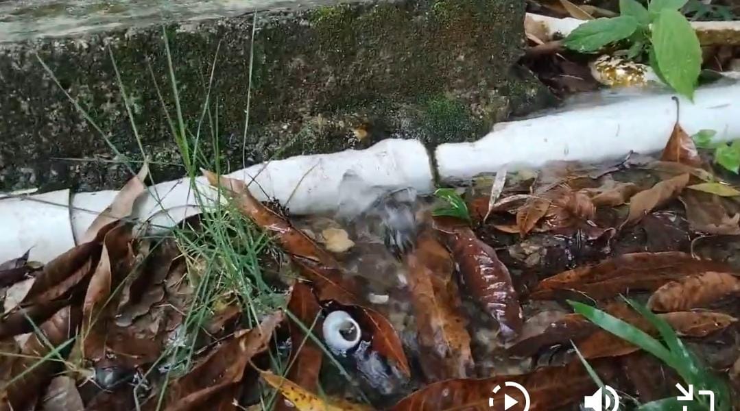 Residentes del residencial Carmen Renata III en Pantoja denunciaron que llevan varios días sin recibir agua potable a través de la tubería debido a un tubo roto en la zona.