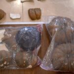 Cargamento confiscado de auyamas plásticas tuvo un peso de 624 kilogramos de cocaína