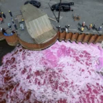 ¿Descargas en el océano o solución climática? Empresas apuestan por capturar carbono en el mar