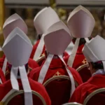 La directora de un grupo que documenta el abuso sexual en la Iglesia católica dice que el único país que tiene un historial aceptable sobre dichos abusos es Estados Unidos, y por esa razón apoya a un papa de ese país.
