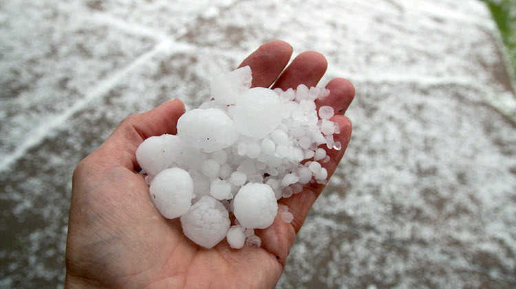 Granizos