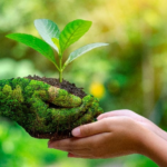 Día Mundial del Medio Ambiente: Un Llamado a la Acción en República Dominicana