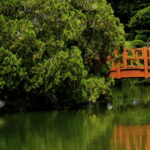 Anuncian entrada gratis este 5 de junio en el Jardín Botánico por el Día del Medio Ambiente