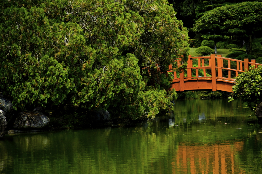 Anuncian entrada gratis este 5 de junio en el Jardín Botánico por el Día del Medio Ambiente