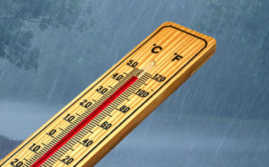 Calor y lluvia