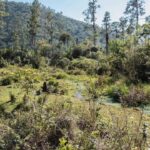 GoldQuest informa el Inicio formal de estudios ambientales del proyecto Romero