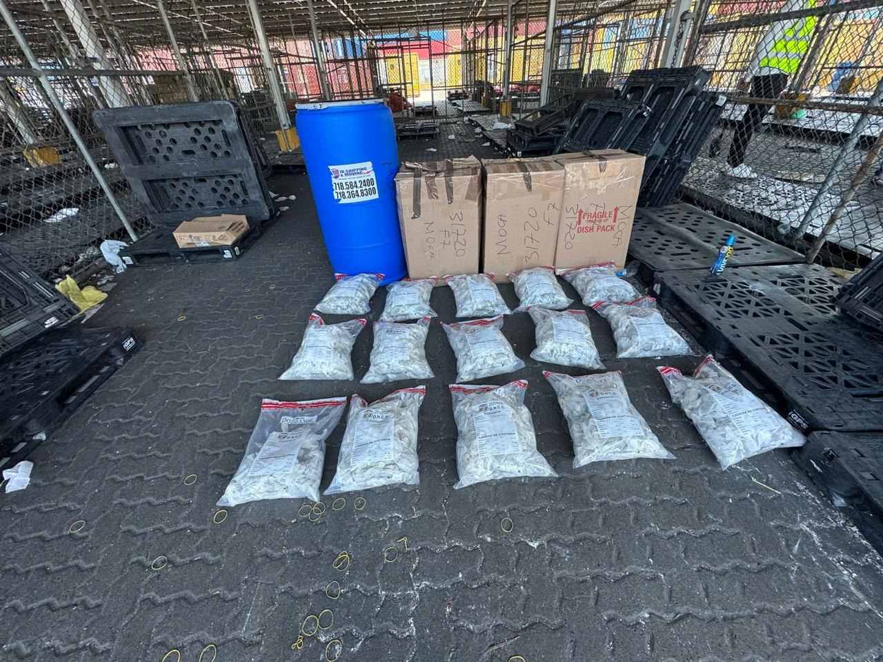 Las autoridades descubrieron 719 guantes quirúrgicos, llenos de marihuana que estaban escondidos en el interior de pañales desechables, fueron ocupados por agentes de la Dirección Nacional de Control de Drogas (DNCD) y miembros del Ministerio Público, en el marco del reforzamiento de las labores de inspección conjunta, desarrolladas en el puerto de Haina Oriental, municipio Santo Domingo Oeste.