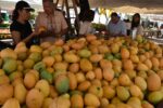 Feria Expo Mango 2025 / Fuente externa