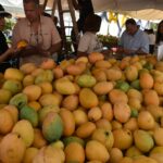 Feria Expo Mango 2025 / Fuente externa