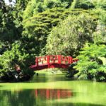 Jardín Botánico Nacional Dr. Rafael María Moscoso