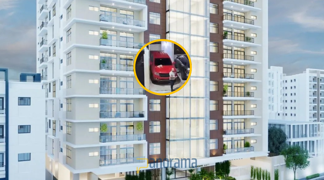 El imputado lanzó a un perro mediano (con vida) desde el piso 11 C de la Torre Villa Palmeras XXII, del sector Bella Vista, del Distrito Nacional.