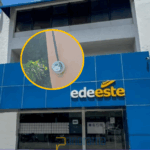 Empresa Distribuidora de Electricidad del Este (Edeeste)