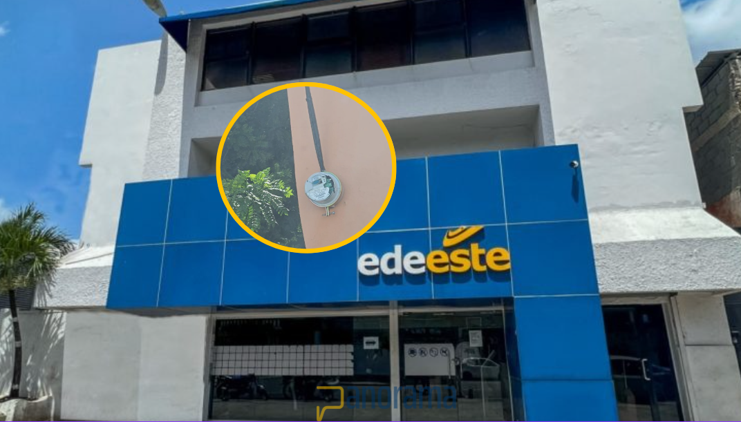 Empresa Distribuidora de Electricidad del Este (Edeeste)