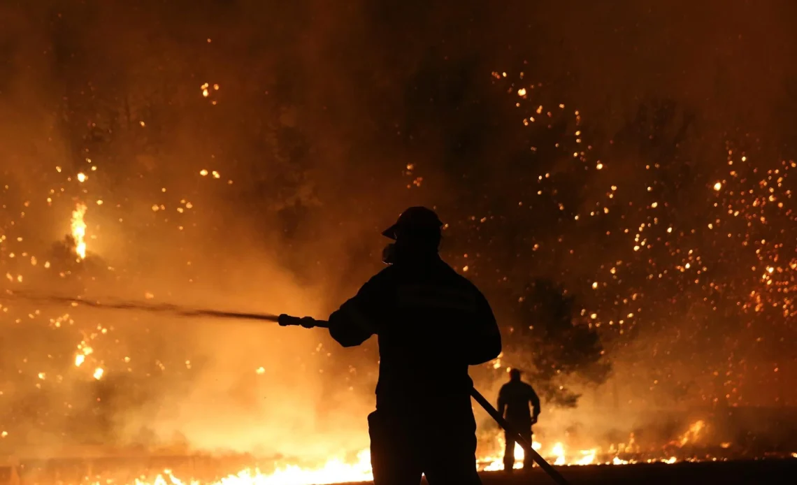 Imagen de referencia.