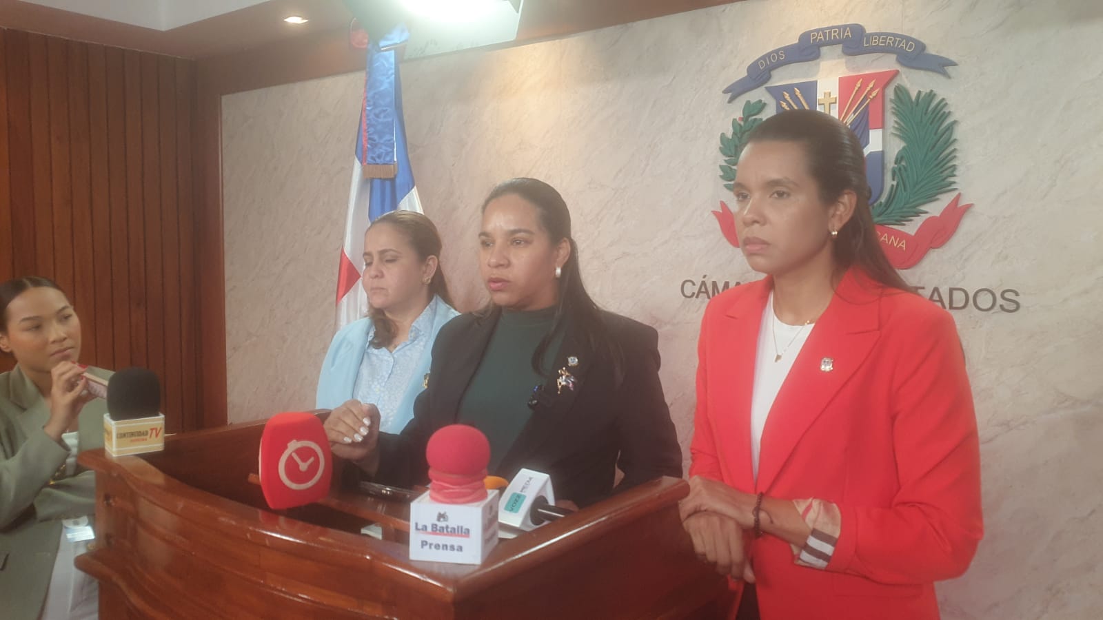 Diputada oficialista Dilenia Santos / Fuente externa