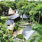 La posible reducción del espacio del Jardín Botánico será decidida por los ministros de Medio Ambiente y Obras Públicas, afirmó este lunes el presidente Abinader.