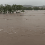 Al menos seis personas han fallecido por inundaciones repentinas tras las fuertes lluvias en el condado de Kerr, en el sur del estado de Texas (EE.UU.), y las autoridades han declarado la emergencia en tramos del río Guadalupe por posible crecida de caudal.