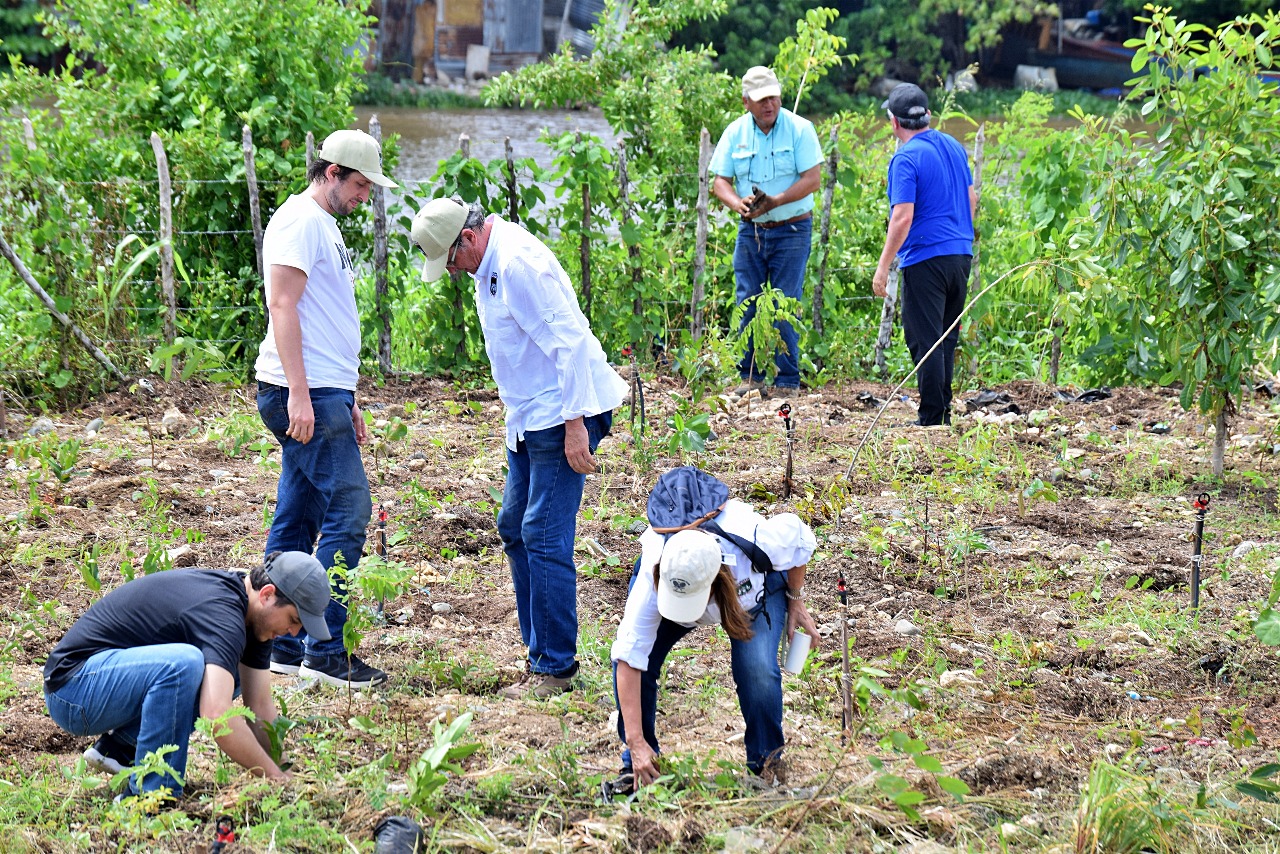 Voluntarios y comunitarios durante la jornada de siembra / Fuente externa