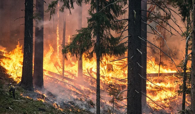 Un muerto en Madrid y miles de evacuados tras incendios forestales