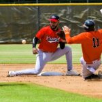 Arrancaron los partidos de pretemporada en la Pelota Invernal Dominicana.