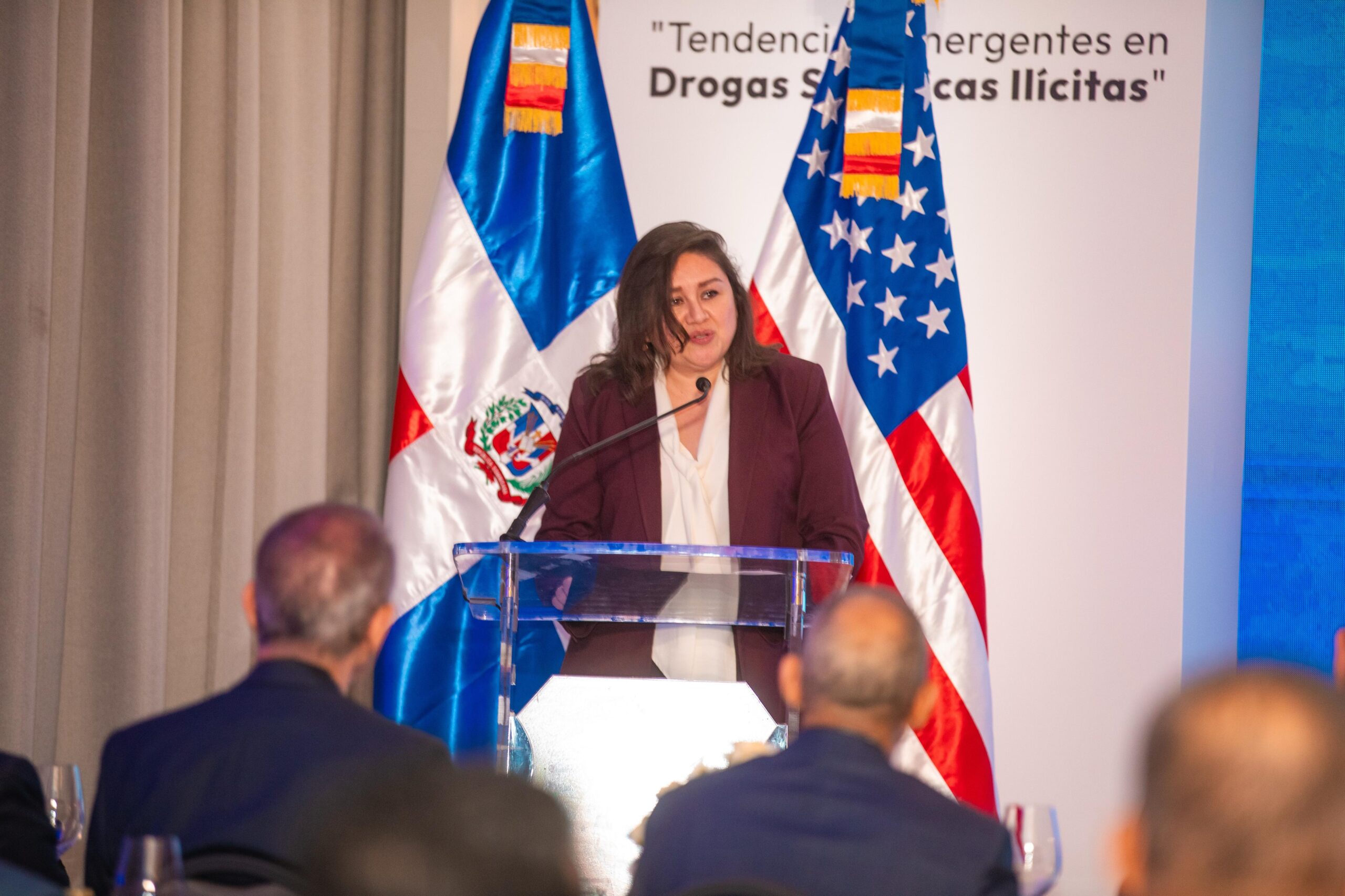 Patricia Aguilera, encargada de Negocios de la Embajada en Santo Domingo.