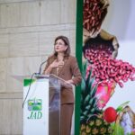 Exportaciones