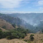 Controlan incendio forestal