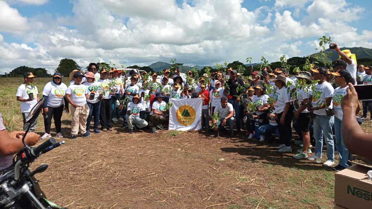 Integrantes de Coopsema, junto a la DGA y Medio Ambiente, durante la siembra de 3,500 plantas en La Cuchilla, El Seibo.