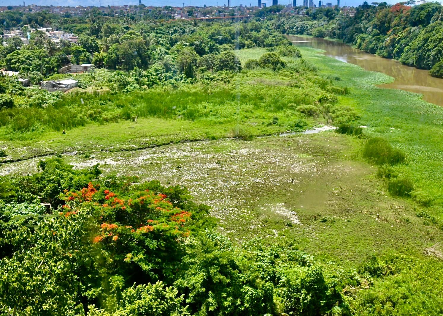 Amenaza a Humedales del Ozama